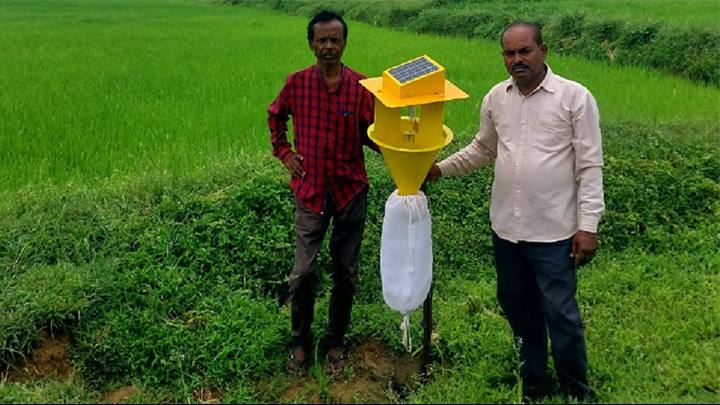 खेती में कीट नियंत्रण के लिये किसान कर रहे सोलर लाइट ट्रेप का उपयोग